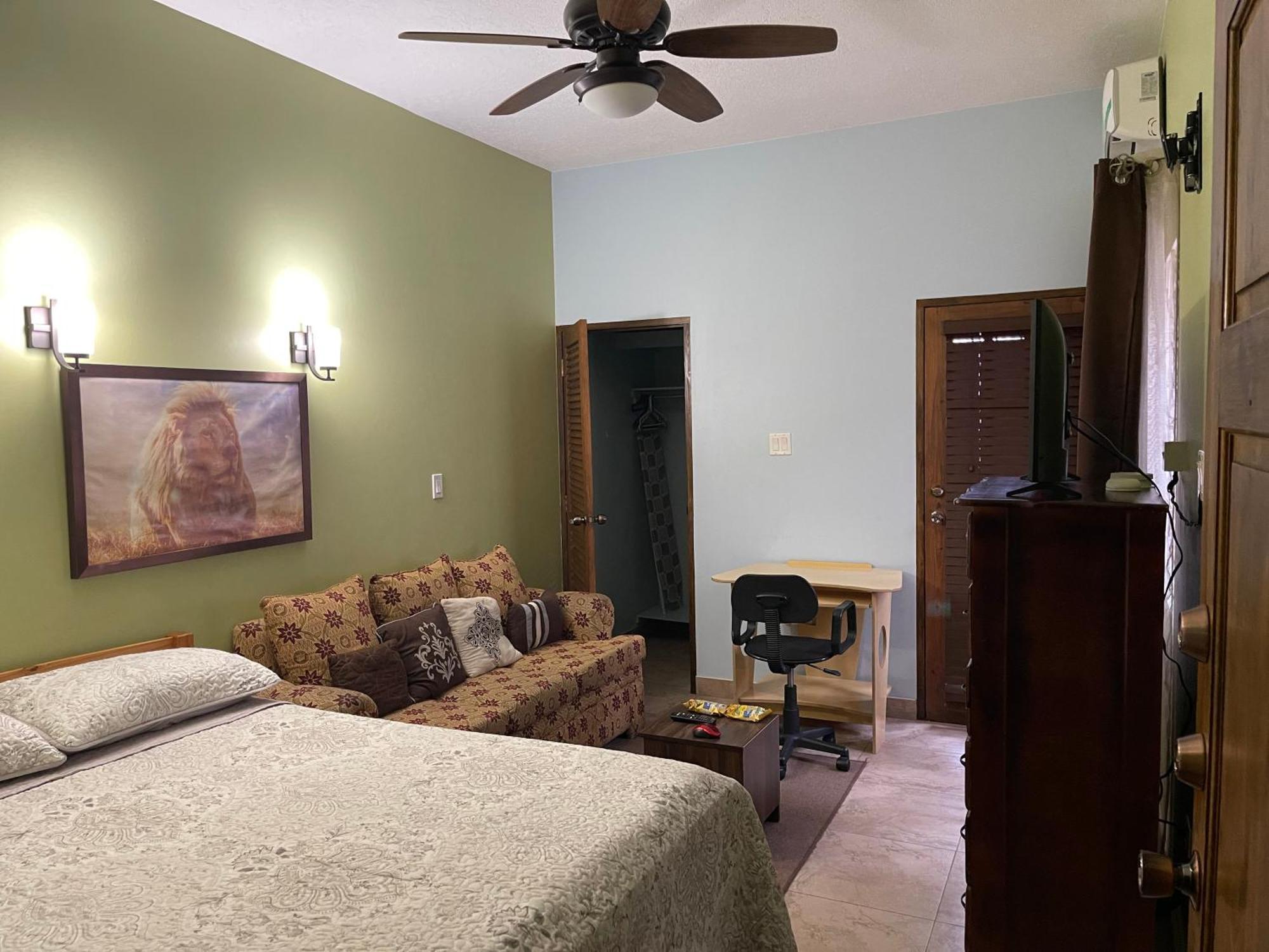 Le Quad - One Bedroom & Studio Apt - Private, Spacious & Secured 金斯敦 外观 照片